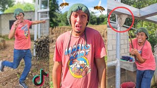 Las ABEJAS DEMOLEDORAS 🐝 MARATON de la SEMANA 🐧 