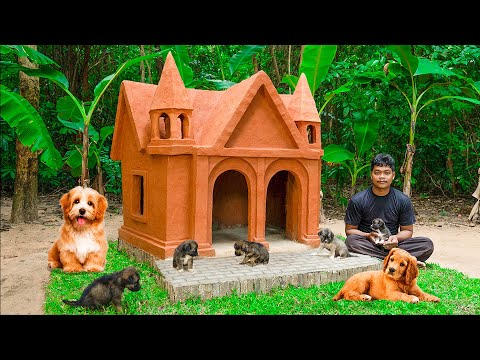 Building a Tiny House in the woods for Puppies