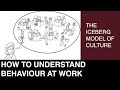 Understanding Organisational Culture