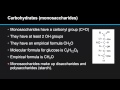 Biological Molecules and Their Functions