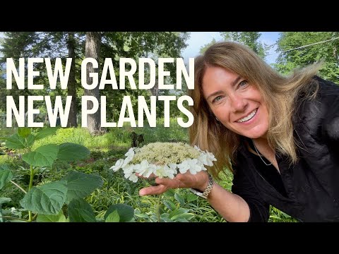 (Finally) planting the garden extension