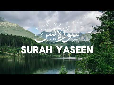 Beautiful Surah Yaseen(Yasin) | سورہ يسٓ | The heart of Quran #surahyaseen #surahyasin 250716