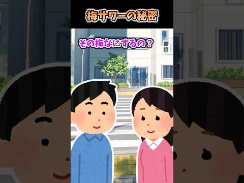🔥400万再生！！梅サワーの秘密【2chいい話】