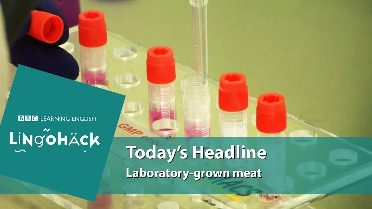 Laboratory-grown meat - Lingohack