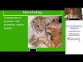 Evolutionary Biology Concepts