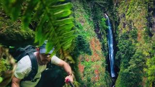 I Tried to Hike to This Hidden Waterfall... (But the Trail Vanished)
