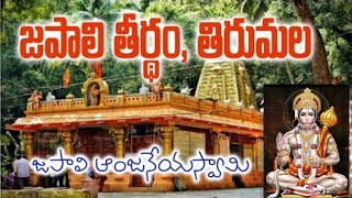 తిరుమల లో జపాలి హనుమాన్ ఆలయం #ayodhya #hanuman  #tirupati #tirumala #travel #temple