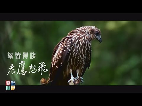 《藝想世界》梁皆得導演談《老鷹想飛》 - YouTube(24分08秒)