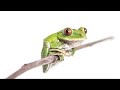 Biodiversity Education and Challenges