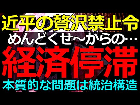 2025-06-26 近平の命令「曲解」で経済に意図せざる悪影響が広がる！