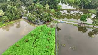 সিদ্দিক কলেজের মাঠ, চারঘাট, রাজশাহী Drone View