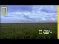 Orinoco River Facts and Trivia