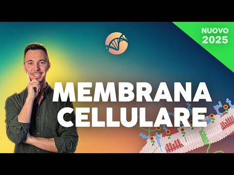La membrana Cellulare | Corso di Biologia Cellulare 2025