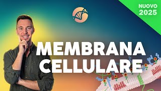 La membrana Cellulare | Corso di Biologia Cellulare 2025