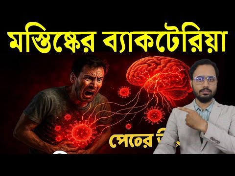ব্রেইন চালাচ্ছে পেটের ব্যাকটেরিয়া!