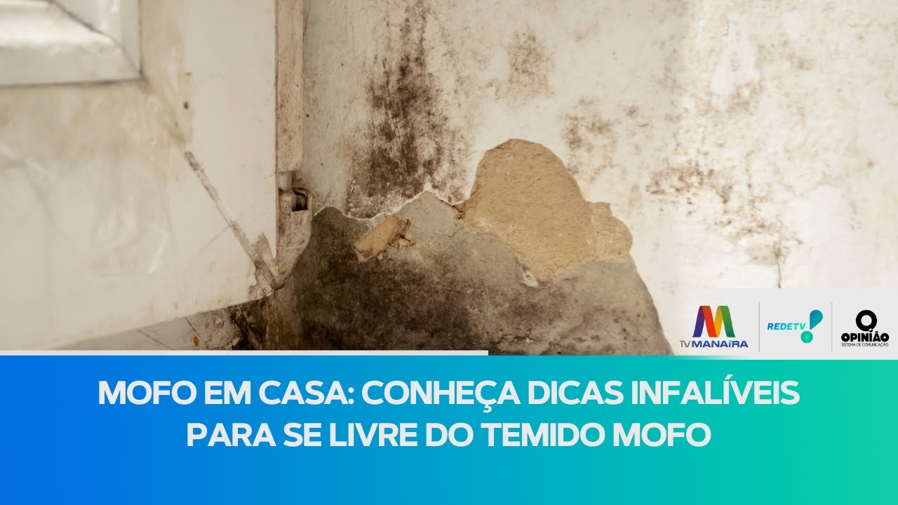 Conheça dicas para se livrar de vez do mofo em casa