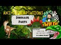 Dinosaur Adaptations and Features