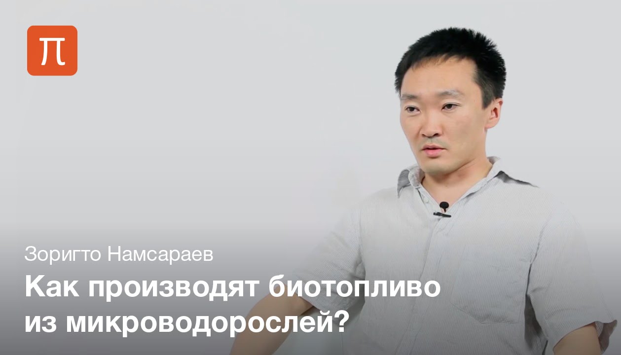 Поколения биотоплива - Зоригто Намсараев