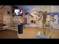 The Iceman: Otzi's Discovery and Life