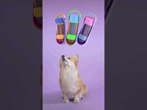 THE LIL GULP Doggy Water Bottle on Kickstarter #dog #dogs #dogtoys #short