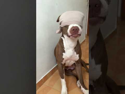 Yo también quería hacer el trend ??? @MonoZabaleta