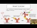 Understanding ELISA Techniques and Applications