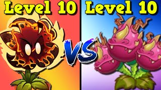 Overview Meteor Flower vs Dragon Bruit Comparing Premium Plants PvZ 2