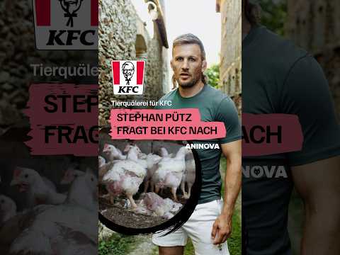 Was sagen eigentlich Mitarbeiter von KFC zur Tierquälerei? Ich habe für @aninova_org gefragt 🎤