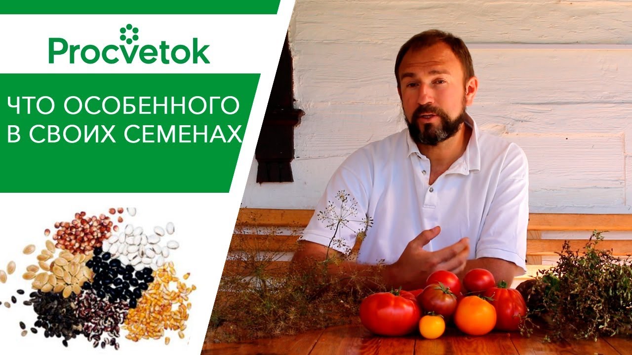 Вы знаете, что домашние семена имеют очень хорошую карму?