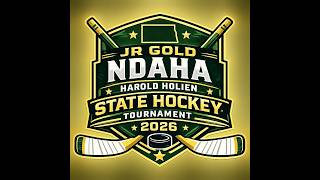 2026 NDAHA Harold Holien Jr Gold State Tournament 3rd Place: Fargo vs Richland