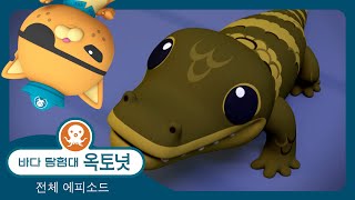 바다 탐험대 옥토넛 - 😻 아기 악어 🐊 - 모음집