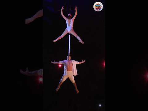 Unbelievable Skills at the Circus! #circus #shorts #trending #wowmoment