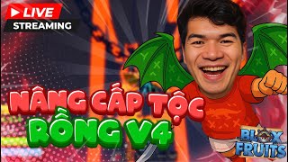 Nâng Cấp Tộc Rồng V4 Cho Fan