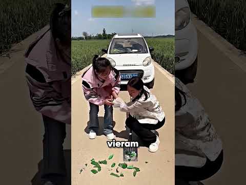 Para-brisa Estilhaçado no Carro 🚘🔨