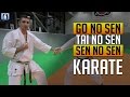 Timing Concepts in Japanese Martial Arts