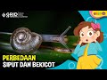 Perbedaan Siput dan Bekicot