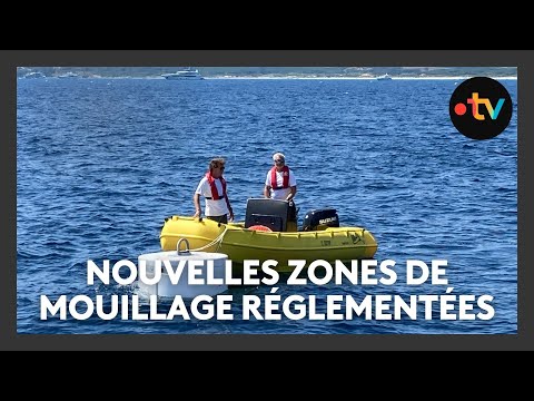 Préserver la posidonie avec de nouvelles zones de mouillage