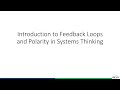 Feedback Loops in Systems Thinking