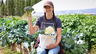 How We Eat in the Summer –  2 Days Harvesting, Cooking & Preserving