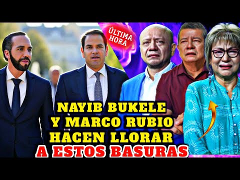 BOMBAZO NAYIB BUKELE Y MARCO RUBIO HACEM LLORAR DE PERROS A LOS OPOSITORES Y SE VAN A IR DEL PAIS 🤣