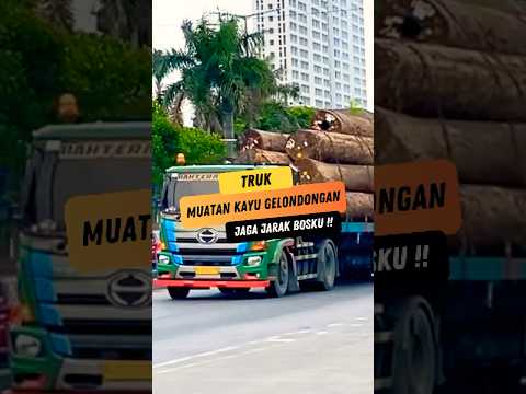 Bosku tahu gak berapa ton muatan kayu gelondongan? 🤔