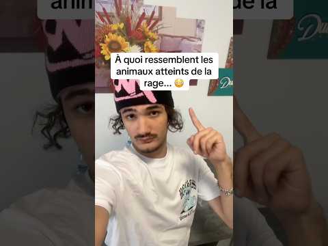 À quoi ressemblent les animaux atteints de la rage... 😦 #shorts