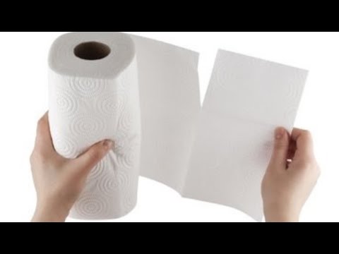 Look What I Did With Paper Towels! Perfect DIY Idea!