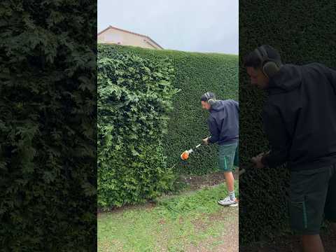 ⚔️🍃 #short #shortvideo #asmr #garden #landscape #satisfying #satisfyingvideo #beautifultools #stihl