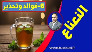 النعناع مش بس طعم حلو… ده علاج طبيعي حقيقي! فوائد النعناع