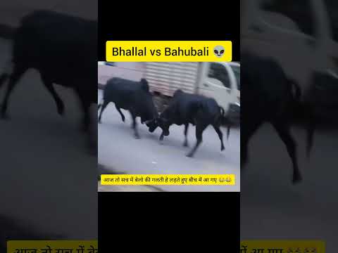 Lady don 😂|| Bahubali ke sath devsena😂 #shorts #youtubeshorts #viralvideo #funny