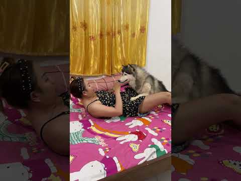 Aww!! TONY need food very very much #funny #shorts #careful #cute