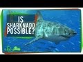 Sharknado: Fact or Fiction?
