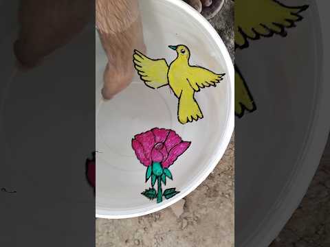 Interesting flying ๐ชฝ Bird ๐ฆ๐๏ธ with Rose ๐น๐ wow ๐ฒ it's amazing #viralvideo #shortvideo #youtubeshorts