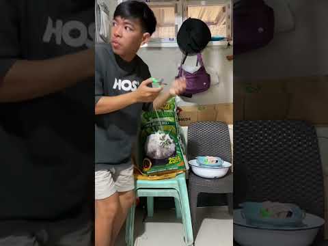 Anong tawag sa laruan nato? #shorts